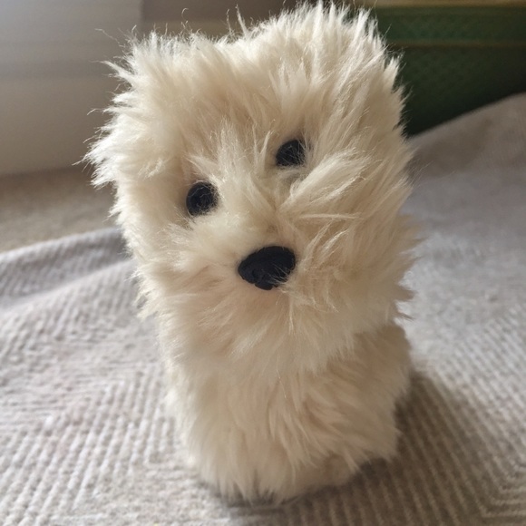coconut american girl doll dog